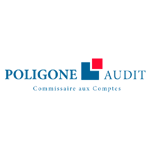 Poligone Audit